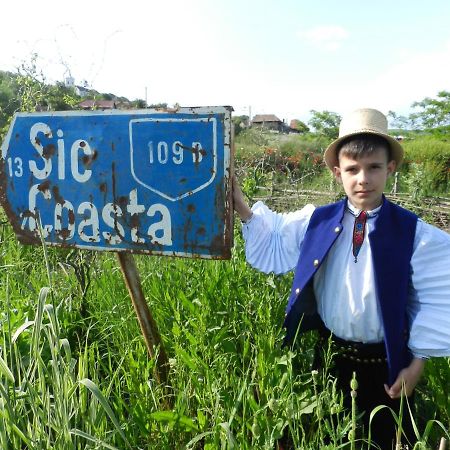 Csipkeszeg Bed & Breakfast Sic / Szek Romania Екстер'єр фото