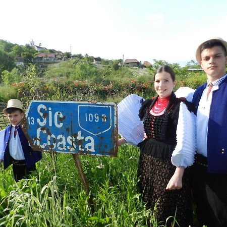 Csipkeszeg Bed & Breakfast Sic / Szek Romania Екстер'єр фото