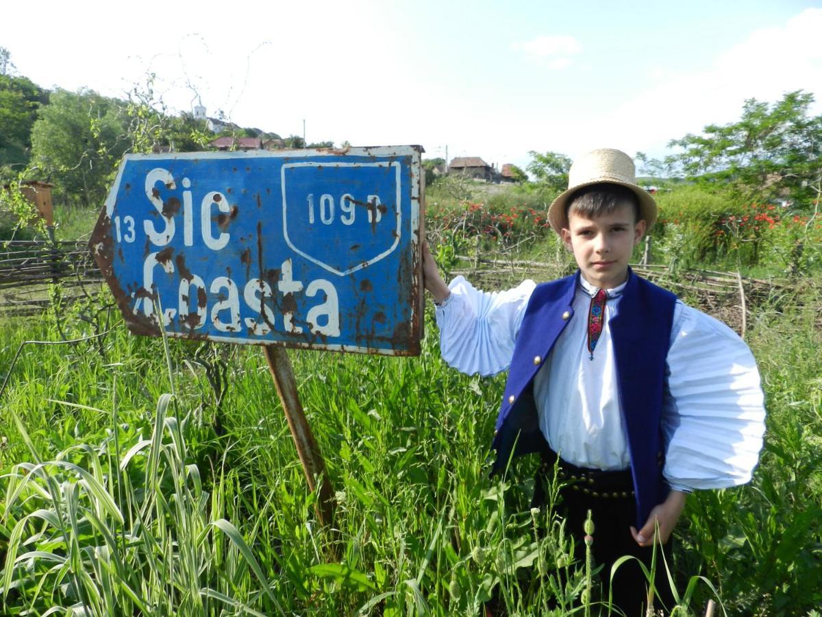 Csipkeszeg Bed & Breakfast Sic / Szek Romania Екстер'єр фото