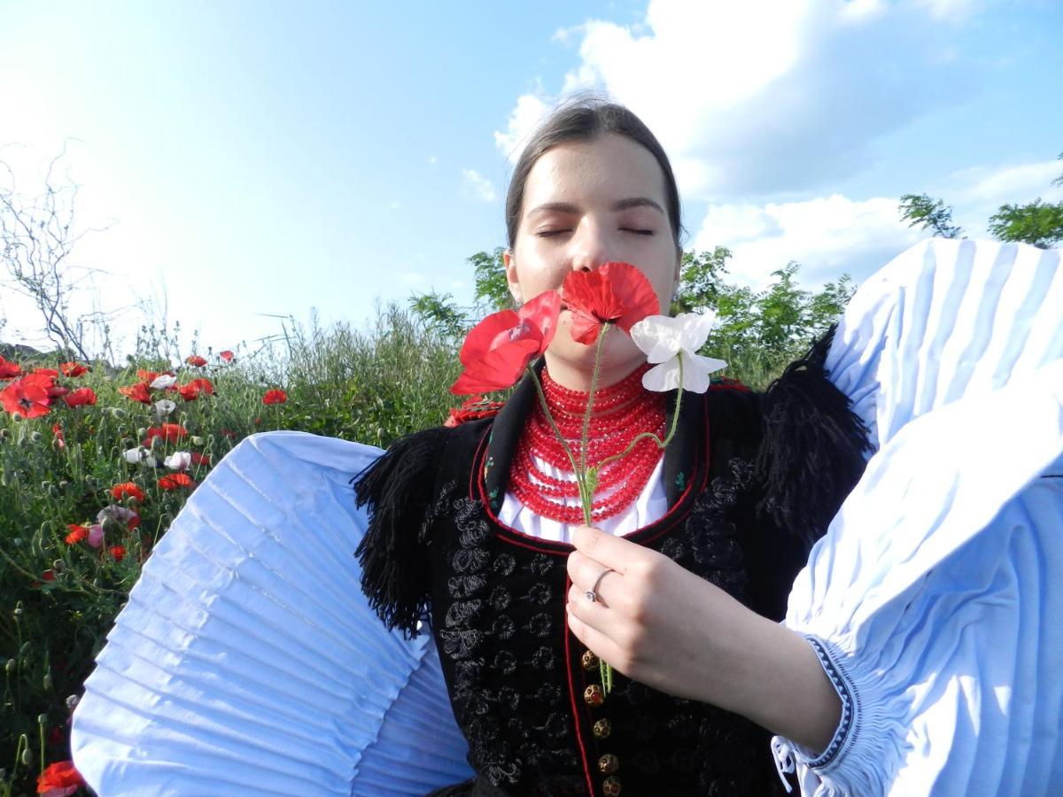 Csipkeszeg Bed & Breakfast Sic / Szek Romania Екстер'єр фото