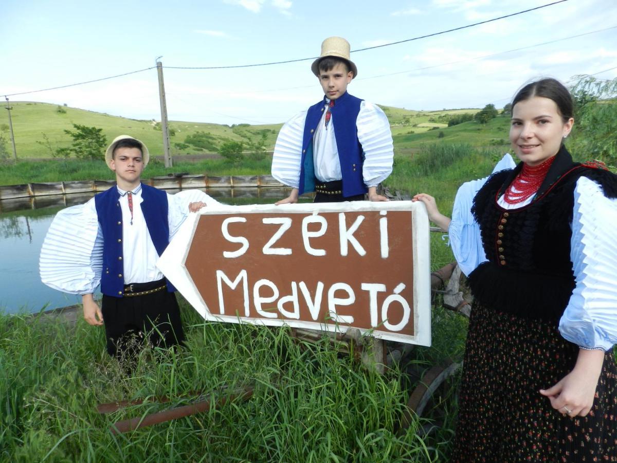 Csipkeszeg Bed & Breakfast Sic / Szek Romania Екстер'єр фото