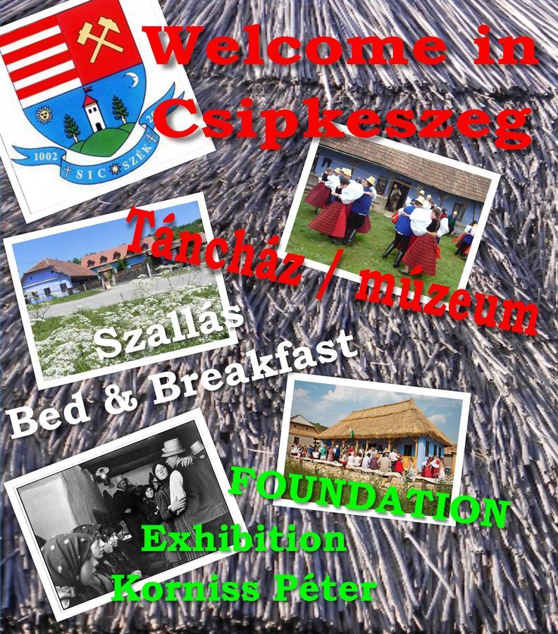 Csipkeszeg Bed & Breakfast Sic / Szek Romania Екстер'єр фото