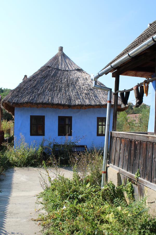 Csipkeszeg Bed & Breakfast Sic / Szek Romania Екстер'єр фото