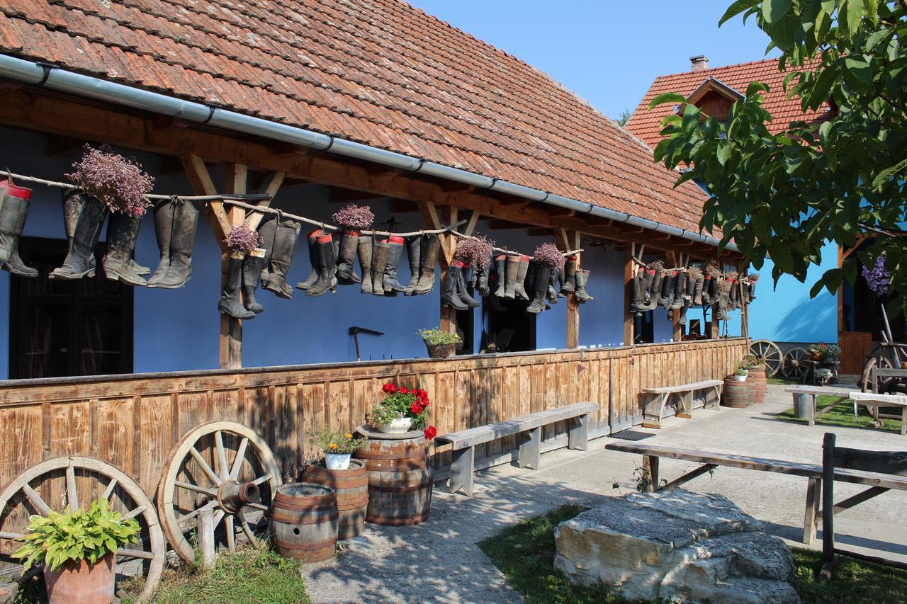 Csipkeszeg Bed & Breakfast Sic / Szek Romania Екстер'єр фото
