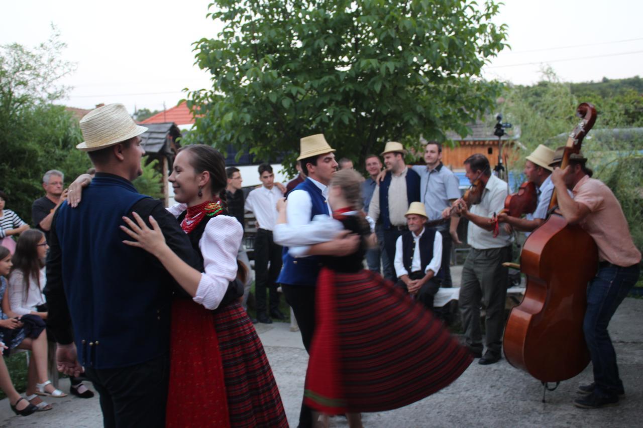 Csipkeszeg Bed & Breakfast Sic / Szek Romania Екстер'єр фото