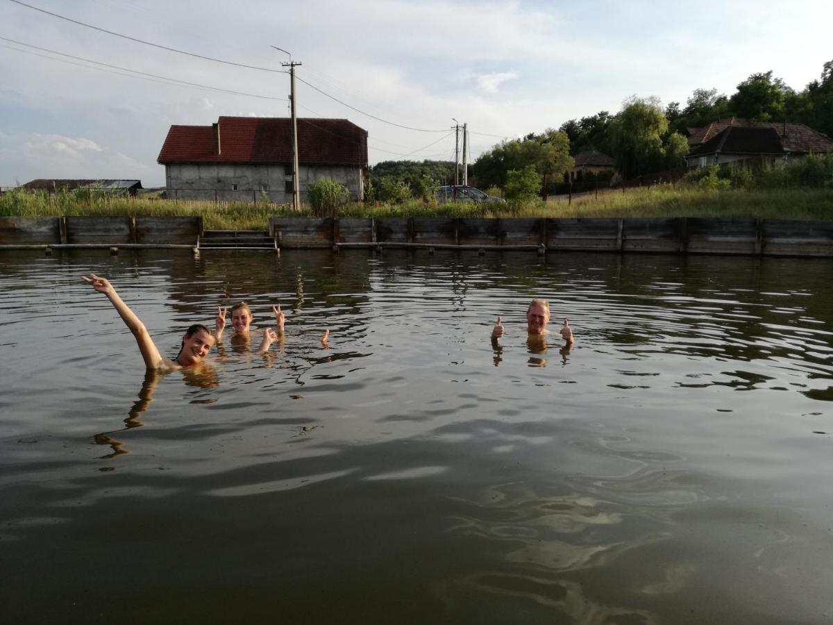 Csipkeszeg Bed & Breakfast Sic / Szek Romania Екстер'єр фото